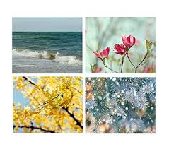 Enjoy free shipping on most stuff, even big stuff. Amazon Com Four Seasons Nature Photography Set Modern Wall Art 4 Season Wall Decor Gallery Wall Art Summer Autumn Spring Winter Prints Modern Wall Decor 25 Off Discount Handmade