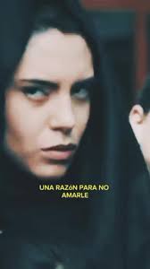 Hacer Leña Del Árbol Caido