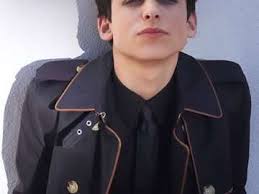 In actuality, he's an ambassador for veganism. Aidan Gallagher Lose Puzzlespiele Kostenlos Auf Puzzle Factory