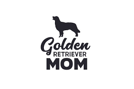 Dachshund svg for cricut and other cutting machines. Pin On Cricut Svg