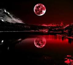 La foto libre de alta resolución de naruto, uchiha itachi, sharingan, figura, noche, luna roja, aves. Soy Luna La Mejor Amino
