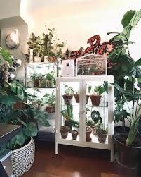 One Of The More Genius Uses Of Ikea S Fabrikor Cabinet Is Completely Hacking The Cabinet Into An Indoor Greenhouse Indoor Gardens Ikea Plants Plants
