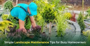 Simple Landscape Maintenance Tips for Busy Homeowners
