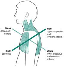 Pin On Stretching