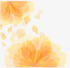 Vector Orange Flower Pattern Texture Vector Pattern Vector Texture Vector Flowers Png Transparent Clipart Image And Psd File For Free Download Watercolour Texture Background Flower Background Wallpaper Vector Flowers
