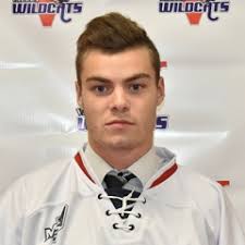 David-Gabriel Cote Stats and Player Profile