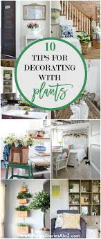 Plant decor shop was created by two brothers in southern california who were literally born into the nursery industry. 10 Tips For Decorating With Plants And Greenery