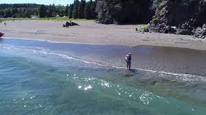 We did not find results for: Northern Bay Sands Jellybeanshore