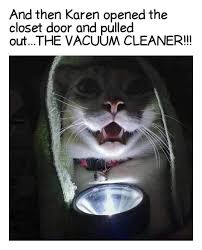 Since doggo memes got 1k views, let's try for that agian! When Cats And Dogs Have To Do With All These Quot Karens Quot In Their Lives The Funny Cat Memes Funny Animal Memes Cute Animal Memes