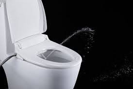 Toilets With Built In Bidet Google Search Bidet Toilet Seat Bidet Seats Bidet