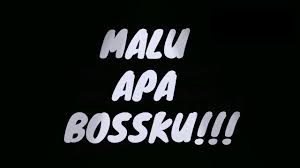 Also malu apa bossku shows that najib don't need to be shame as he state that he don't even involved in any kleptocracy activity as said by the malaysia's current government, pakatan harapan. Malu Apa Bossku Logo