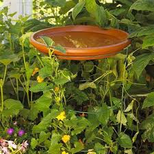 Bird Bath Ideas For Cages Diy Birdbath Terracotta Saucer Atop A Tomato Cage Can Trellis Plants Up It As Well Genius Tomato Cages Garden Bird Bath
