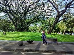 Biaya masuk taman labirin cempaka#spf=1607716768190 : 10 Gambar Taman Labirin Di Bandung Harga Tiket Masuk Lokasi Wisata Indonesia Jejakpiknik Com