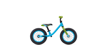 Kinderfahrrad Jahresmiete Giant Mietstation Dresden