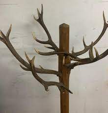 Since an elk antler is a natural for a coat rack, here's our version. Unique And Antique Oak And Real Antlers Entry Hall Floor Coat Rack And Hat Stand At 1stdibs