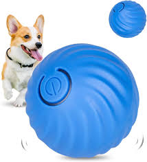 Interactive Dog Toy