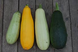 Courgettes) or baby marrow (cucurbita pepo) is a summer squash. So Lassen Sich Zucchini Im Garten Kultivieren Gartenmagazine De