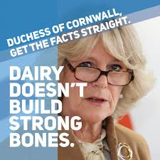 Duchess of Cornwall Misled by Dairy Industry