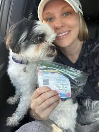 What is the backstory of the surfing frog?