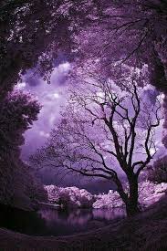 Ohhhh La La Pretty Happy Birthday Purple Sky Beautiful Landscapes Beautiful Nature If you want to stay on good terms with a girl, you better pay her some attentoin on this day. purple sky beautiful landscapes