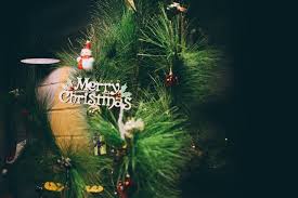 Image result for merry christmas