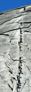 May 21, 2021 · half and half should be stored in a refrigerator like all dairy products such as buttermilk. Half Dome Day Hike Yosemite National Park U S National Park Service