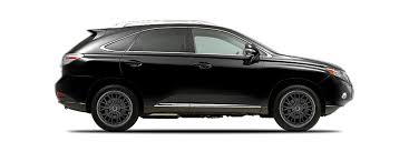 Image result for Golden Almond 2010 RX