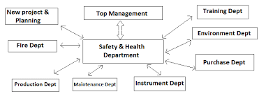 Safety Organisation Chart Rls Human Care