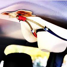 Jm Lone Star Of Texas Edition Cowboy Hat Rack Cowboy Hat Rack Texas Edition Rodeo Cowboys