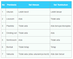 Sel hewan dan tumbuhan perbedaan. Carilah Gambar Sel Hewan Dan Tumbuhan Inilah Perbedaan Sel Hewan Dan Sel Tumbuhan Lengkap Tabel Fungsi 12 Perbedaan Sel Tumbuhan Sel Hewan Gambar Hewan