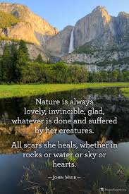 John Muir Quotes on Pinterest via Relatably.com
