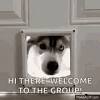 How do you like to welcome new employees to your company?. 1