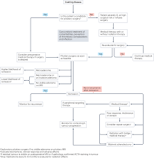 Image result for Cushing Response