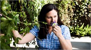 The connection was denied because this country is blocked in the geolocation settings. Making Flowers Into Perfume The New York Times