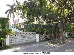 She also advises boards of directors and special. Barbara Becker Miami Beach House Miami Beach Florida August 2012 A Stock Photo Alamy