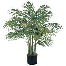 Palm Tree In Pot Image Potted Trees Trees To Plant Faux Plants