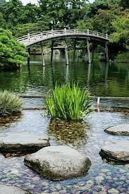 Bridges Japanese Garden Asian Garden Garden Design