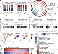 Examples of opinion marking signals. A Gene Environment Induced Epigenetic Program Initiates Tumorigenesis Nature