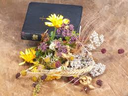 Pilgern der kita pusteblume 2021. Maria Himmelfahrt Termine Und Informationen Zum Feiertag