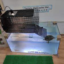 I've read many recommendations for making a platform just a few inches under the water surface for your turtles and i decided it was time i tried it out. Diy Basking Area For Turtles Pet Supplies Homes Other Pet Accessories On Carousell