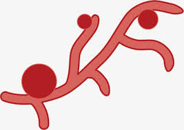 Image result for ‫البكتيريا الطبية متحركه‬‎