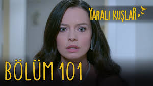 Yarali Kuslar 101 Bolum Youtube 2020 Kus Youtube Sanat Yonetmeni
