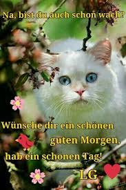 Pin Von Acacio Jorsil Auf Morgen Abend Guten Morgen Guten Morgen Lustig Guten Morgen Gruss