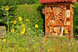 Natur im garten, tulln an der donau (tulln). Februar 2018 Gonn Dir Einen Naturgarten Lebensader Oberrhein