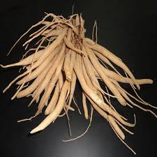 Image result for Asparagus racemosus