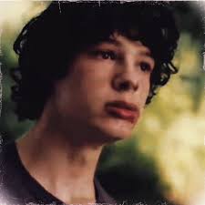 The Animal Kingdom Emile Wolf Form