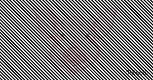 Wild animal giraffe standing indoors merging with spotted background with a pattern of the skin of a giraffe. Optical Illusion To Test Eyesight Can You Find An Animal Hidden In This Picture
