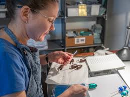 entrepreneurship Archives