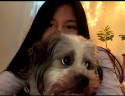 Lost pet found in Port Orchard, WA