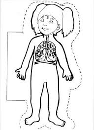 Fotograf Insan Vucudu Boyama Sayfalari Iskelet